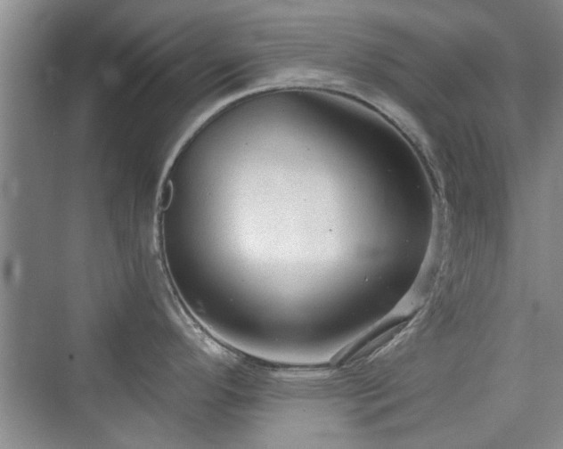 X0000076321296200609291044