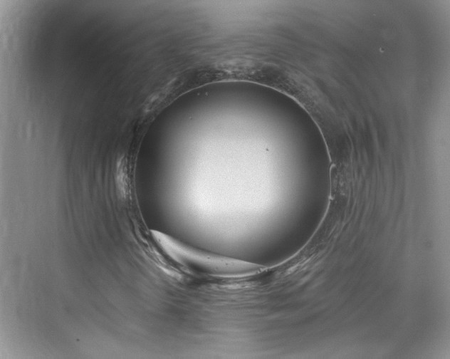 X0000076321298200609291043
