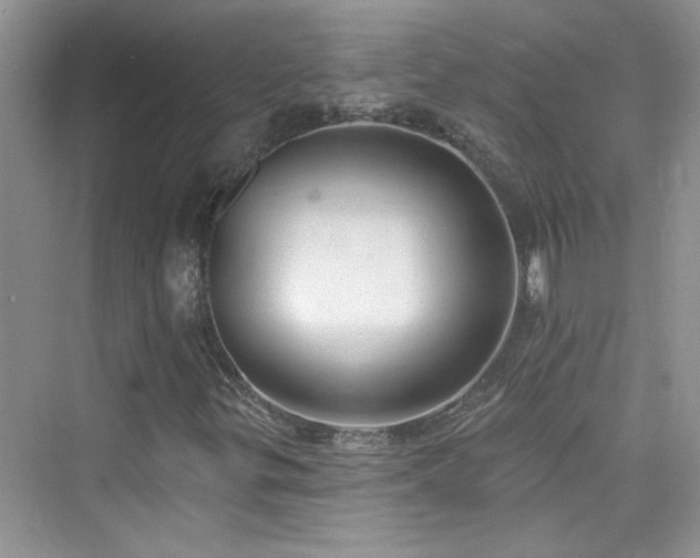 X0000076321299200609291044