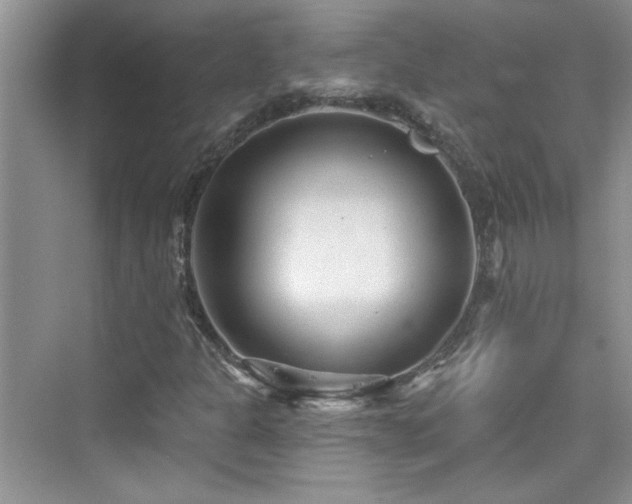 X0000076321301200609291044