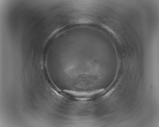 X0000076321306200609291044