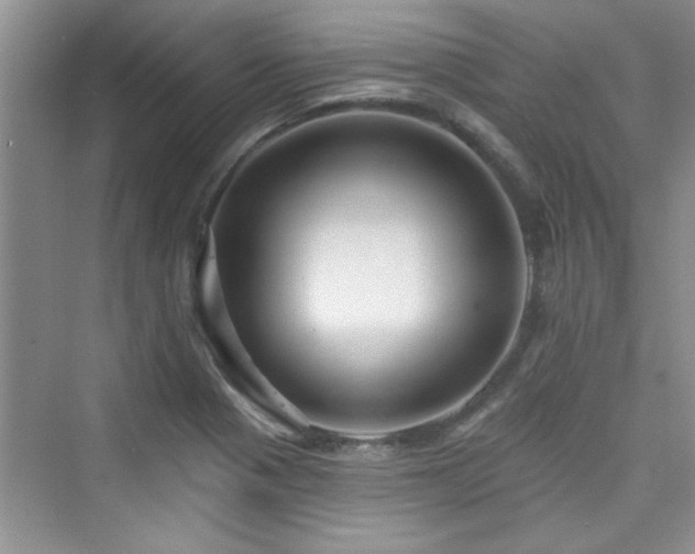 X0000076321321200609291044