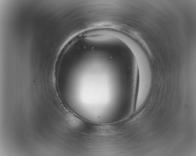 X0000076321328200609291044