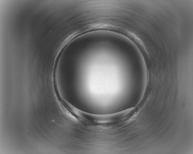 X0000076321330200609291044