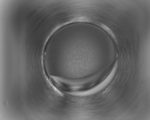 X0000076321334200609291044