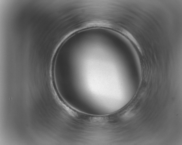 X0000076321339200609291044