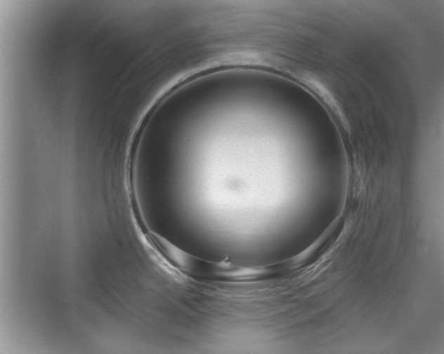 X0000076321342200609291044