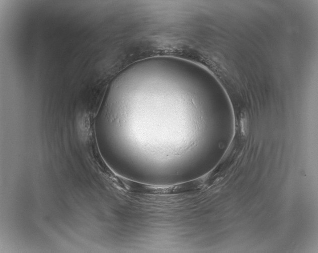 X0000076321347200609291043