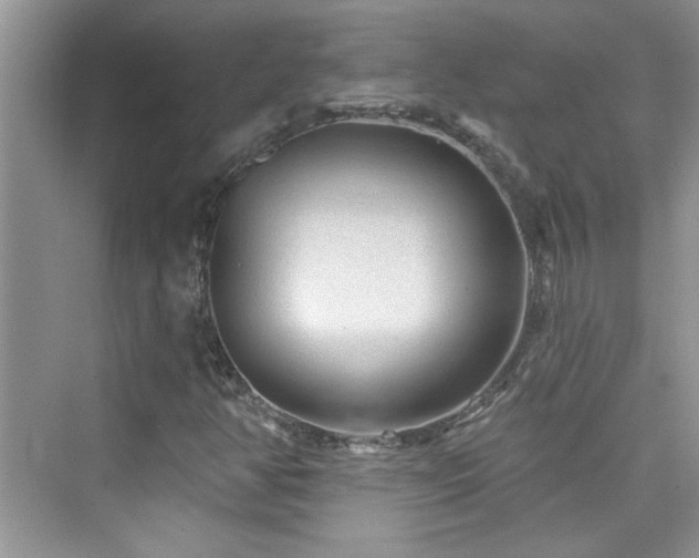 X0000076321350200609291043