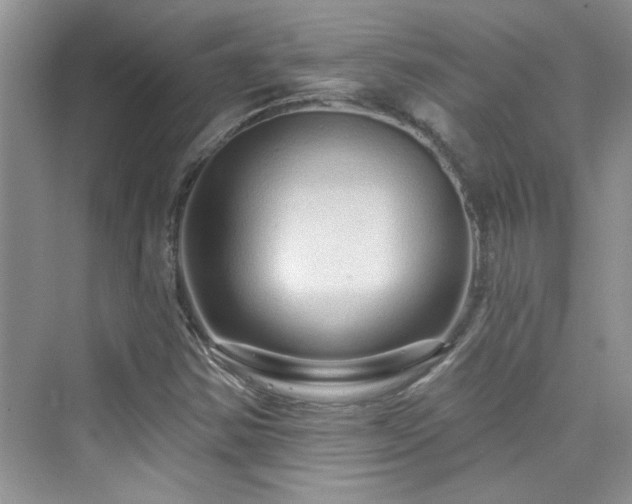 X0000076321354200609291043
