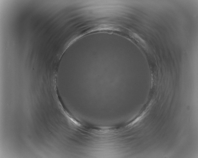 X0000076321369200609291043