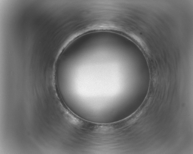 X0000076321374200609291043