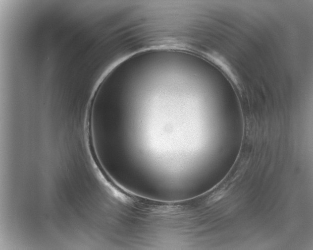 X0000076321387200609291043
