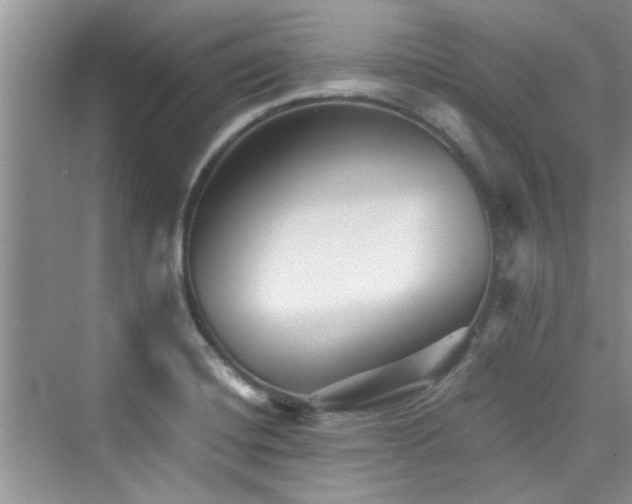 X0000076321420200609291042