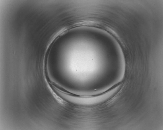 X0000076321426200609291042