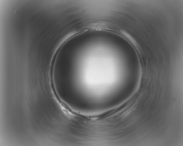 X0000076321434200609291043