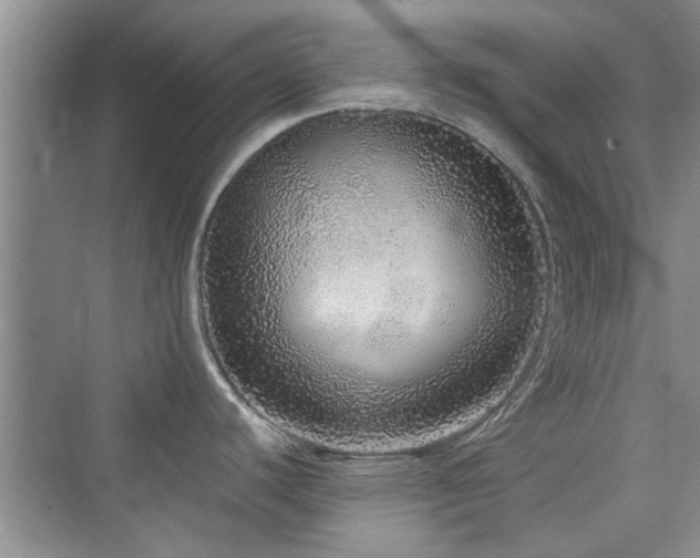 X0000076321440200609291043