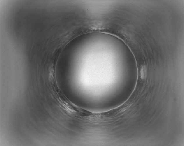 X0000076321444200609291042