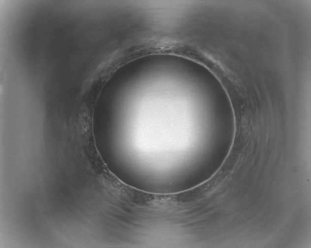 X0000076321447200609291042