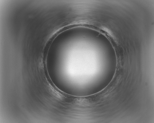 X0000076321452200609291042