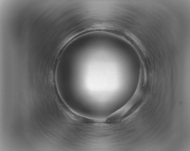 X0000076321465200609291041