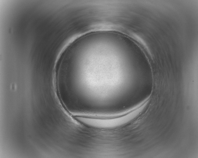 X0000076321472200609291041