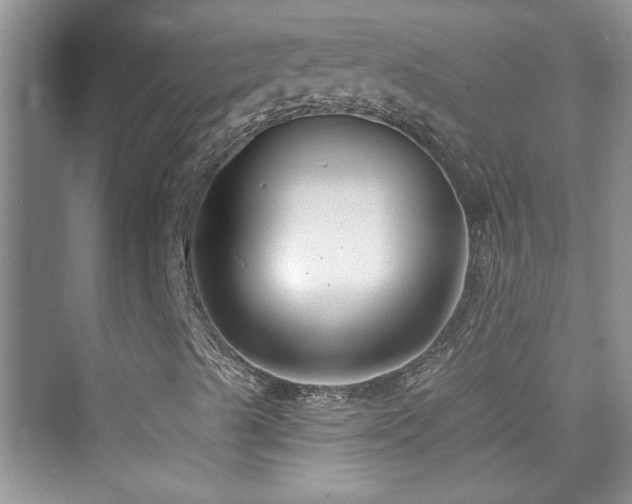 X0000076321489200609291040