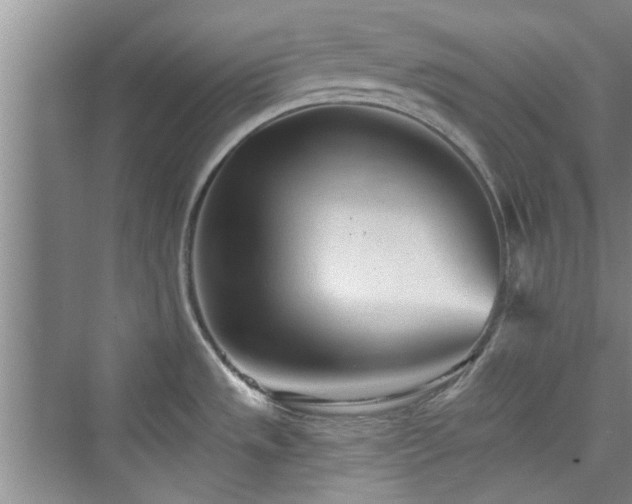 X0000076321533200609291041