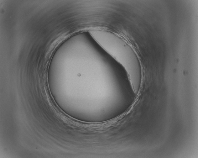 X0000076320001200610061422