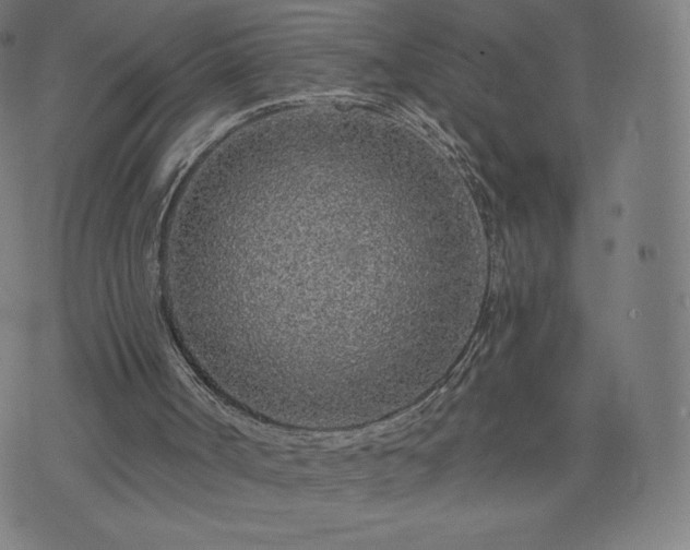 X0000076320002200610061422