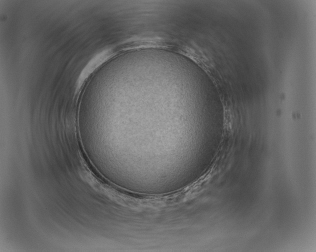 X0000076320004200610061422