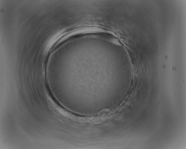 X0000076320005200610061422