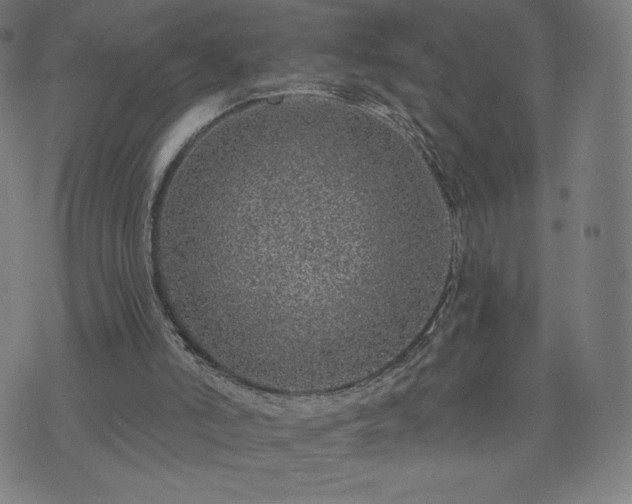 X0000076320006200610061422