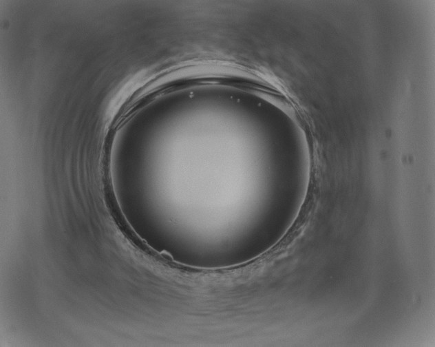 X0000076320007200610061422