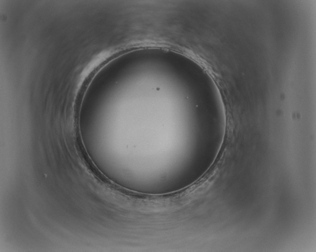 X0000076320008200610061422