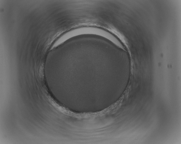 X0000076320009200610061422