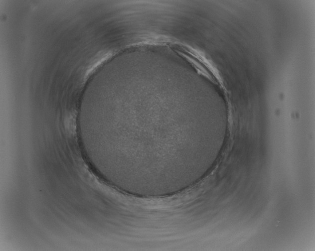 X0000076320010200610061422