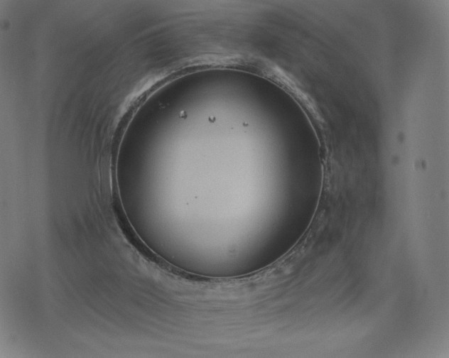 X0000076320011200610061422