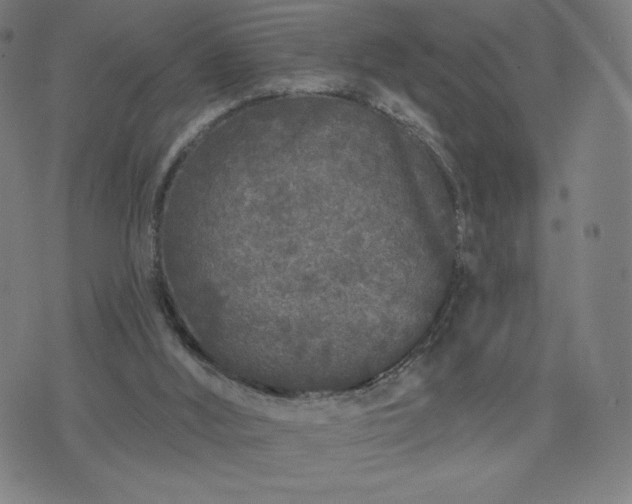 X0000076320012200610061422