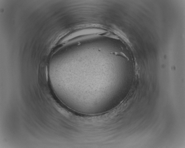 X0000076320013200610061422