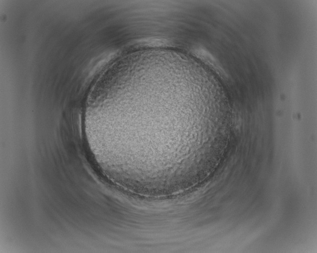 X0000076320014200610061422