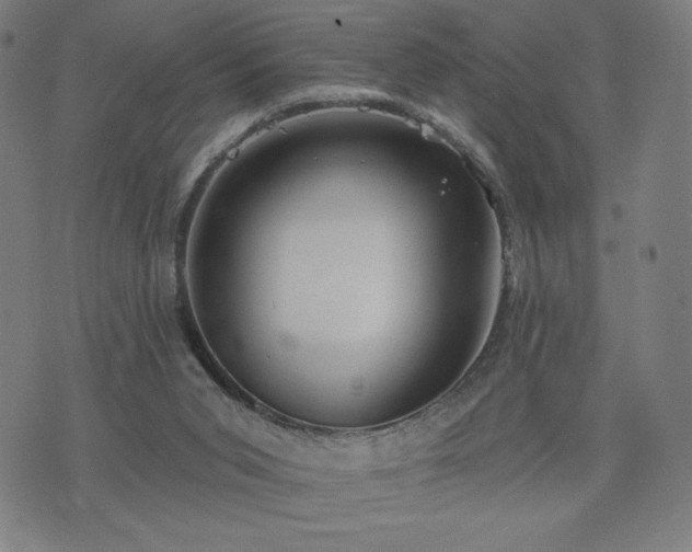 X0000076320015200610061422