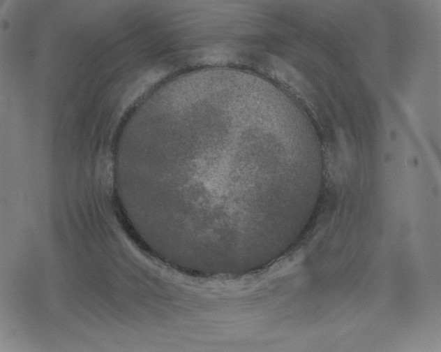 X0000076320016200610061422