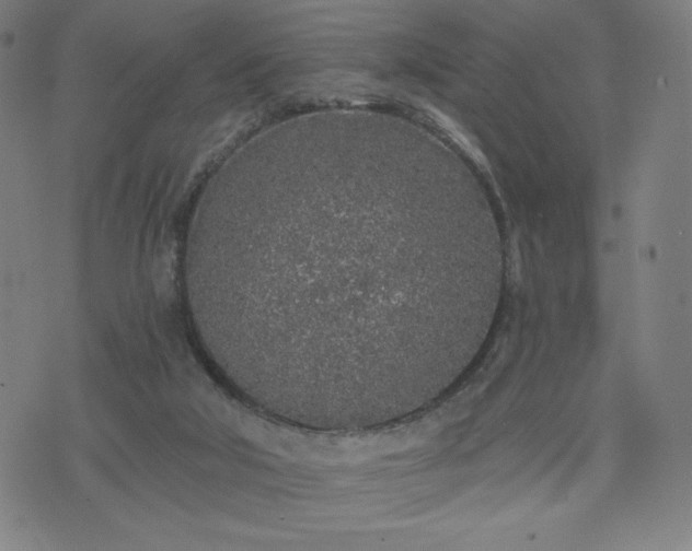 X0000076320018200610061422