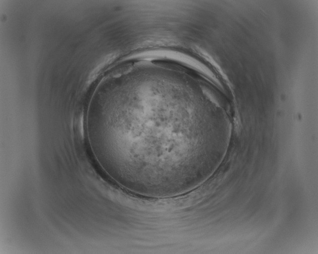 X0000076320019200610061422