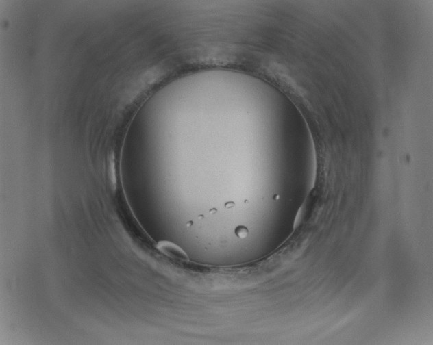 X0000076320020200610061422