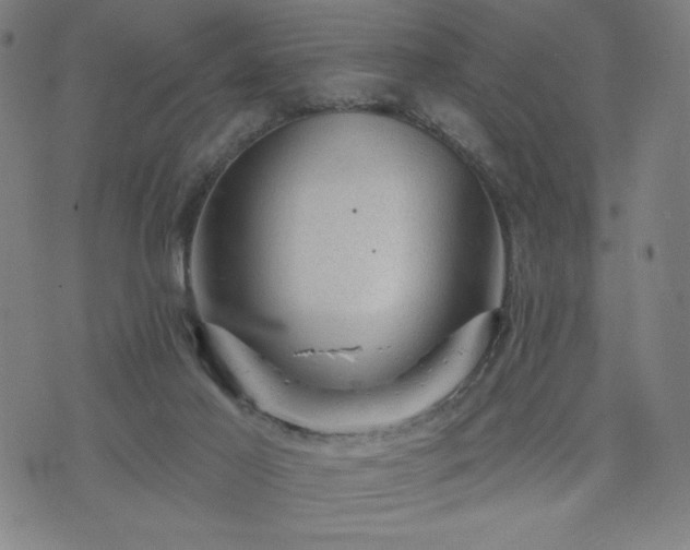 X0000076320021200610061422