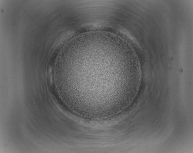 X0000076320022200610061422