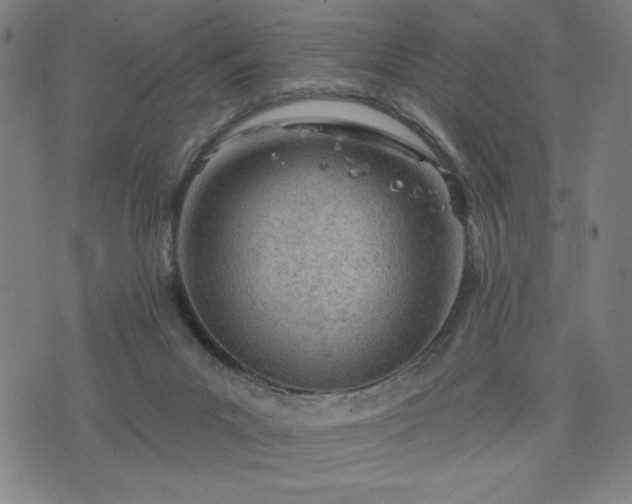 X0000076320023200610061422