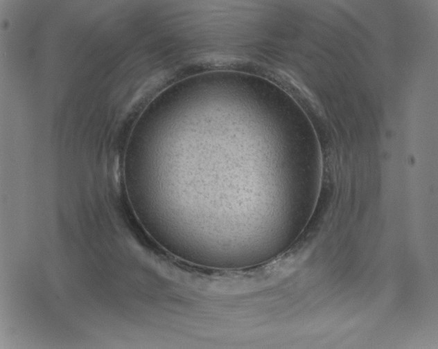 X0000076320024200610061422